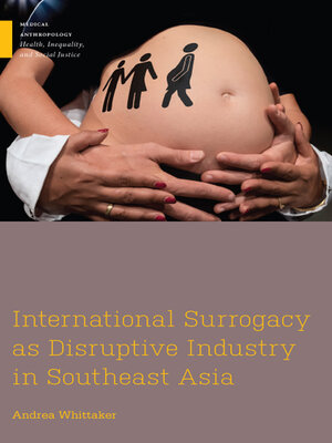 cover image of International Surrogacy as Disruptive Industry in Southeast Asia